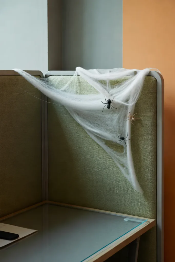 Spiderweb Corner Display